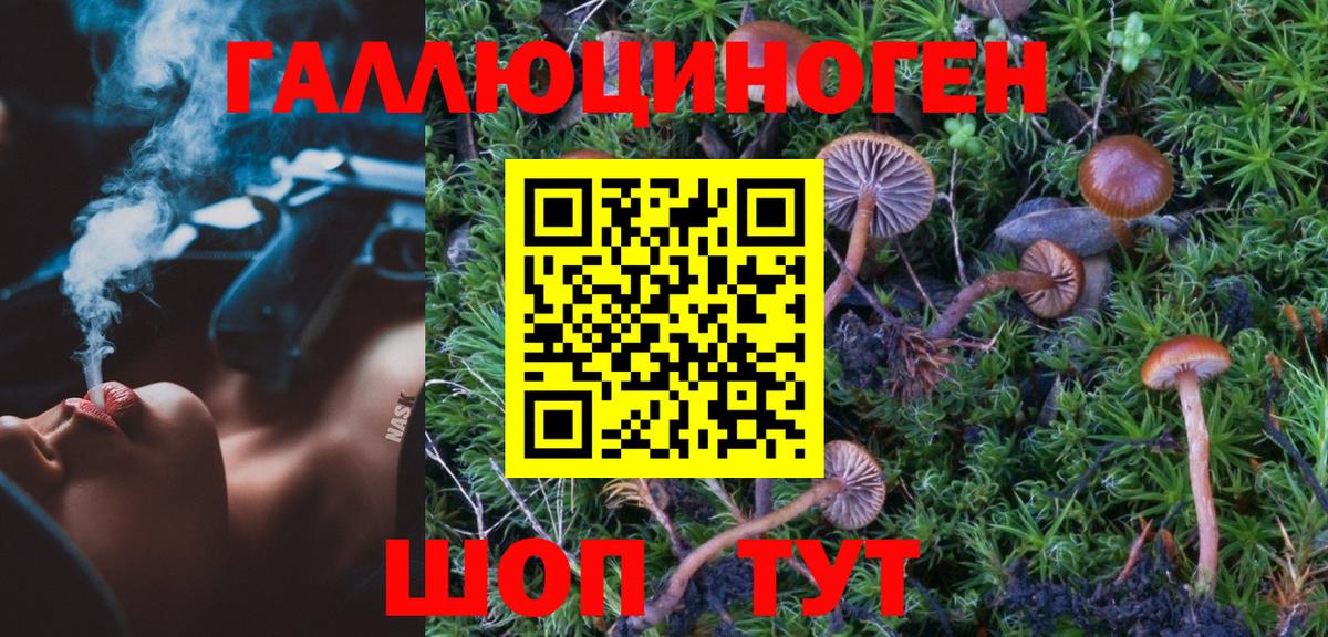 Псилоцибиновые грибы Psilocybine cubensis  Вход с VPN  как найти   Галлюциногенные грибы Cubensis  Краснознаменск 